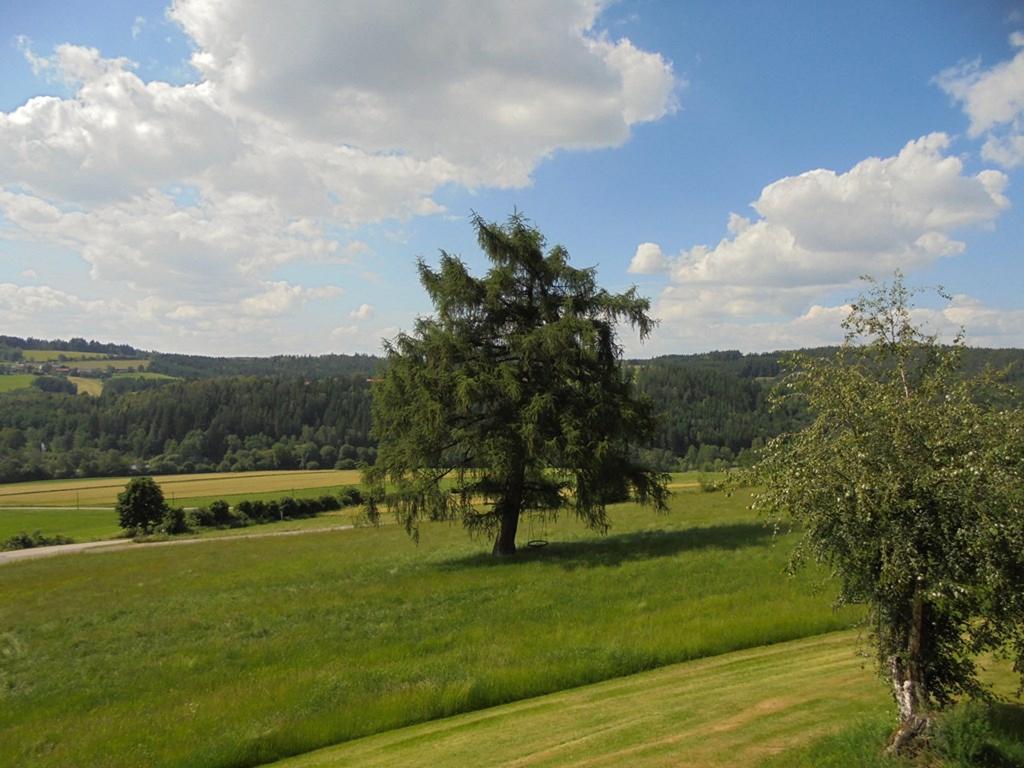 Ferienwohnung Ferienhaus Bauer Tännesberg Exterior foto